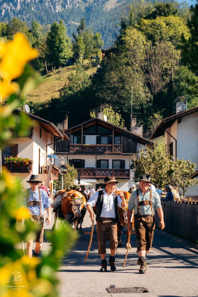 Gran Festa del Desmontegar, Tonadico, Primiero Valley, Pale di San Martino Dolomites festa del desmontegar