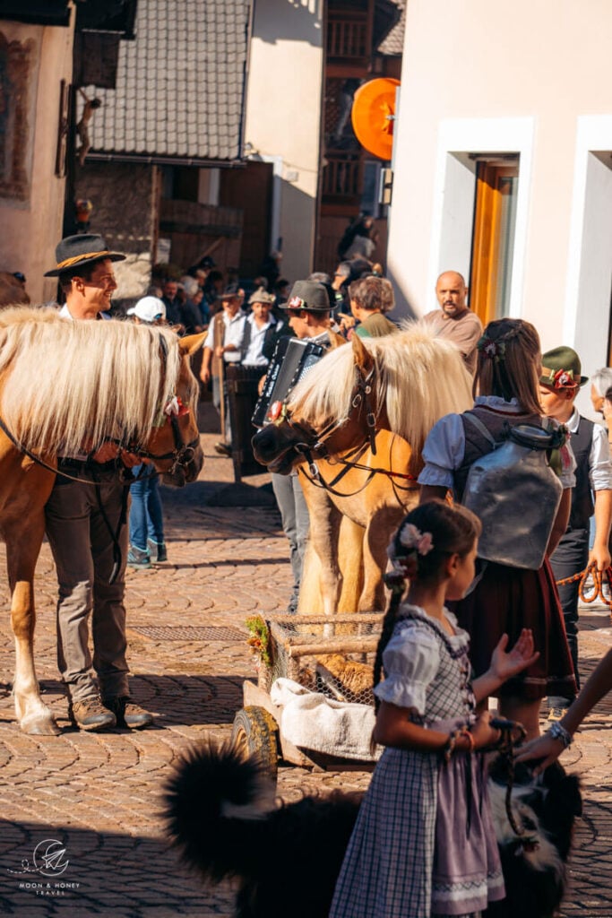 Horses, Desmontegada, Primiero Valley